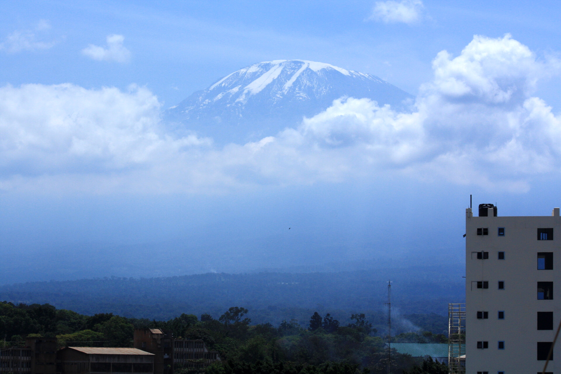 2010-08-18 Bristol Cottages